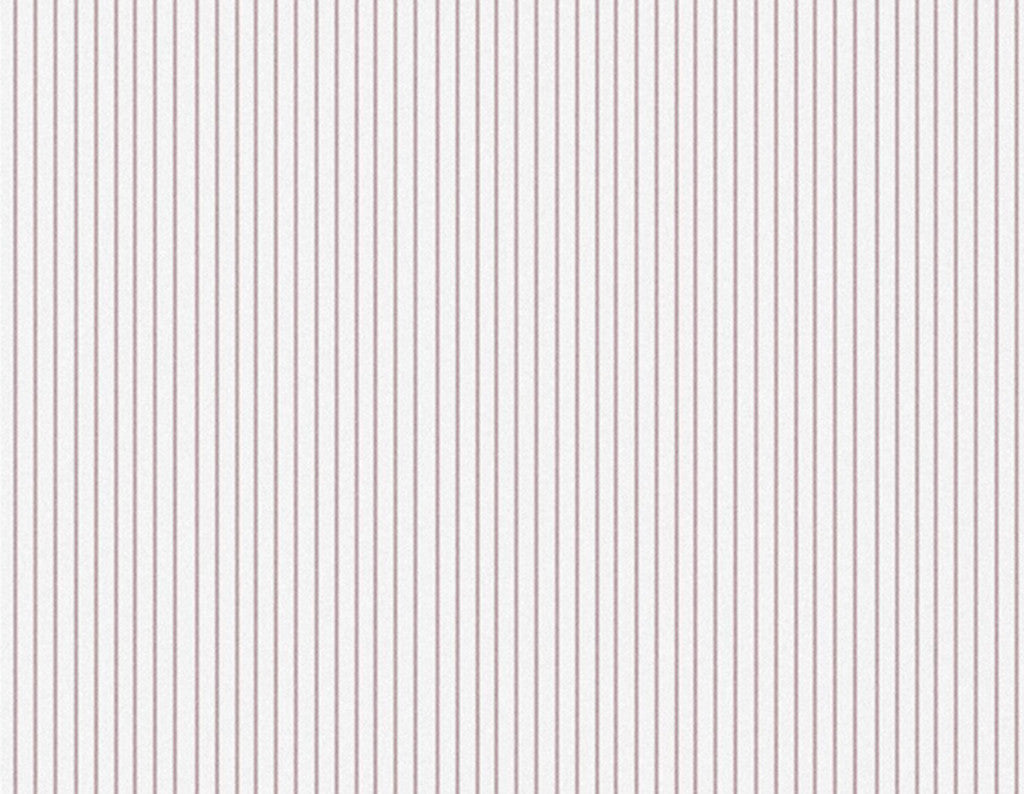 The Pinstripe- Blush