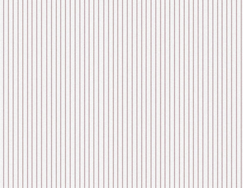 The Pinstripe- Blush