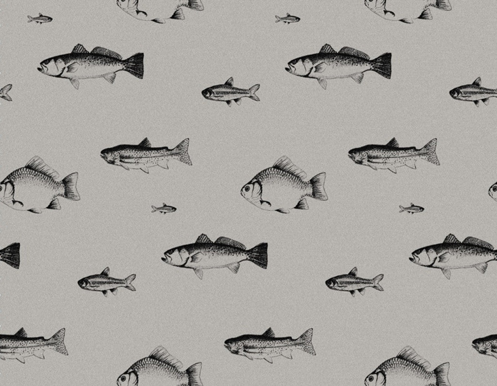 The Freshwater Fish - Night