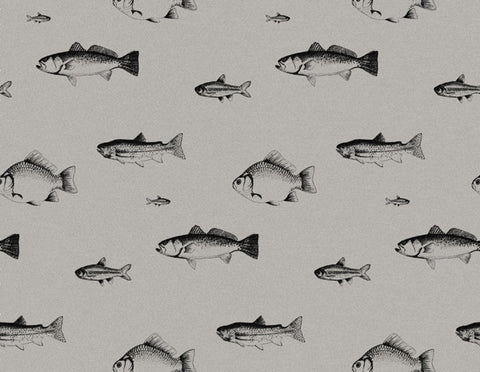 The Freshwater Fish - Night