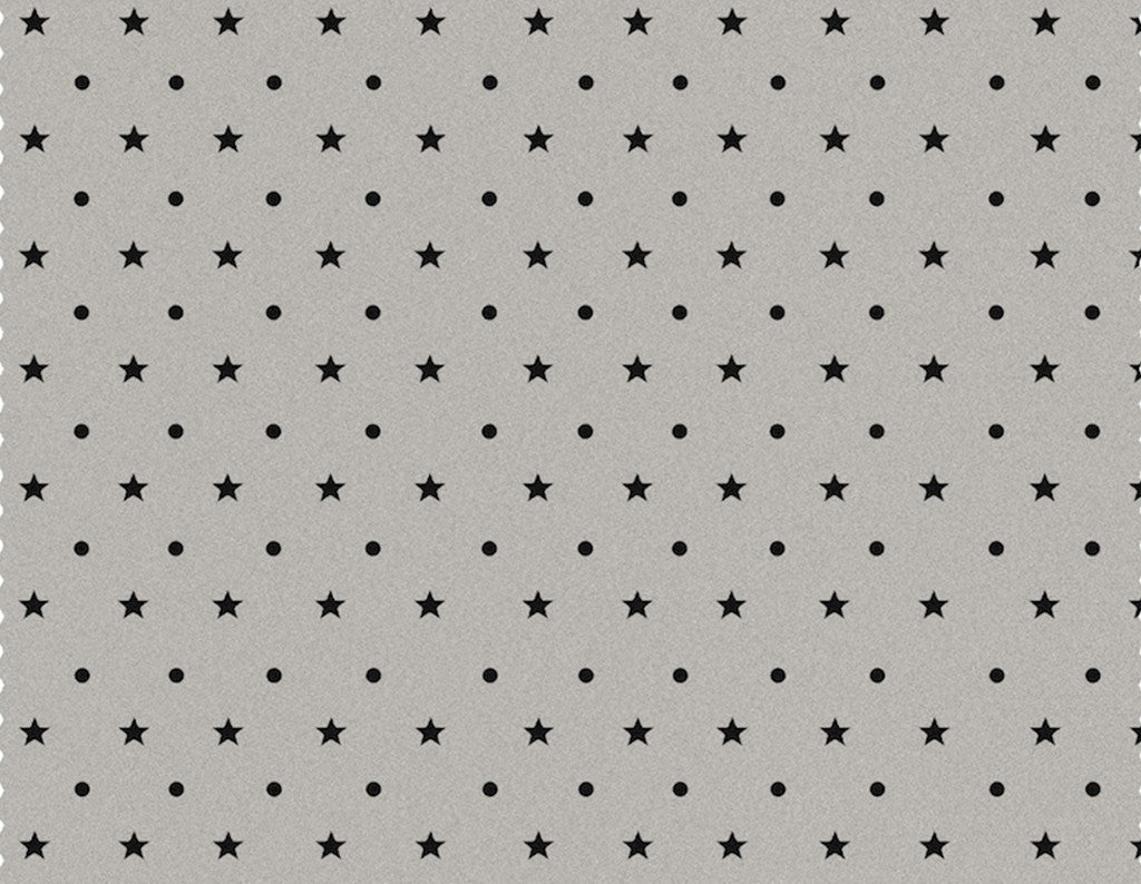 The Spots and Stars - Night