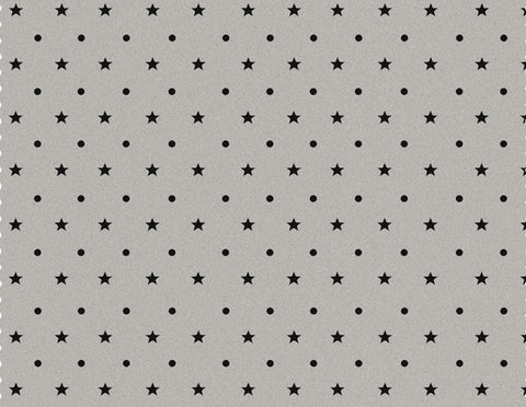 The Spots and Stars - Night