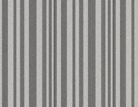 The Stripe - Night